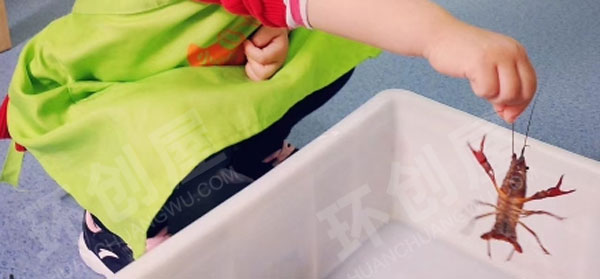 幼儿园科学区动物生命自然主题图片