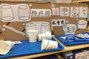 幼儿园科学区自制各种科学活动墙面图片7张