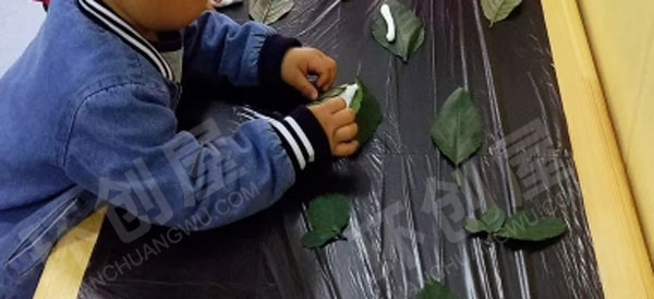幼儿园科学区动物生命自然主题图片