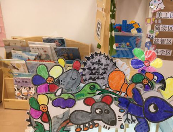 幼儿园科学区自制各种科学活动墙面图片