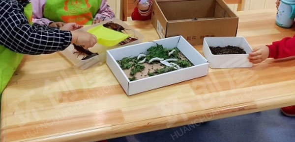 幼儿园科学区动物生命自然主题图片