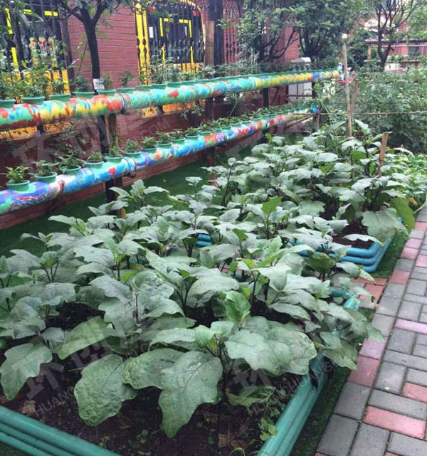 幼儿园户外植物角各种装饰图片