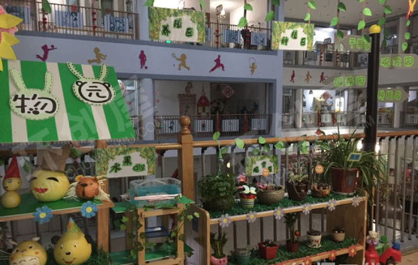 幼儿园户外兔兔班自然角图片