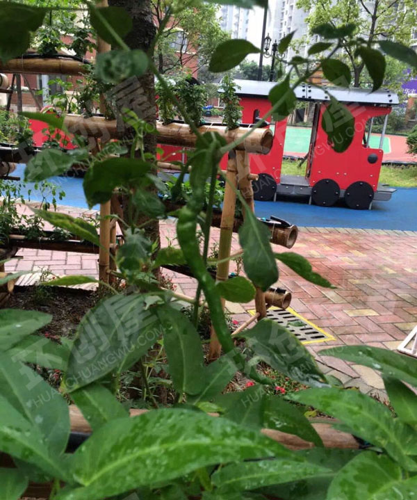 幼儿园户外植物角各种装饰图片