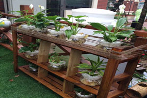 幼儿园户外植物角各种装饰图片5张