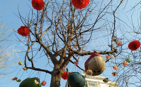 幼儿园户外奇妙的冰花之旅冻冰花吊饰图片