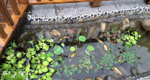 幼儿园户外植物角各种装饰图片