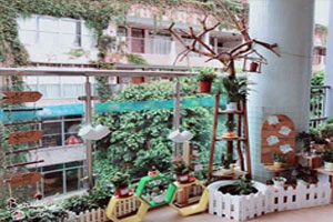 幼儿园户外环创植物角树叶树枝花草图片