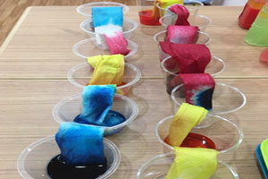 幼儿园环创科学区会爬的水图片3张