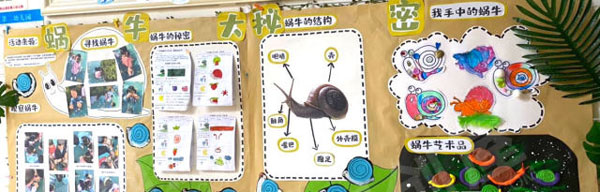 幼儿园小蜗牛的大秘密作品展示图片