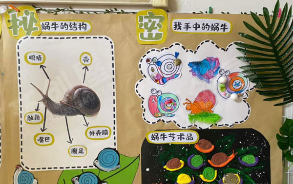 幼儿园小蜗牛的大秘密作品展示图片