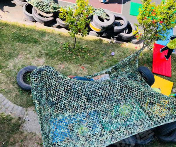 幼儿园夏天户外植物角图片