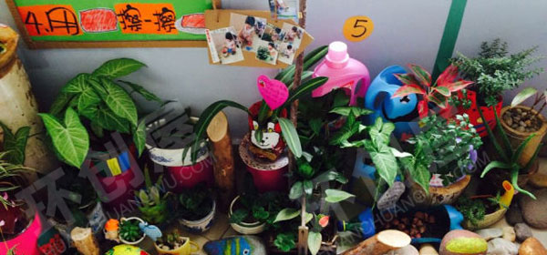 幼儿园户外环创漂亮的植物角图片
