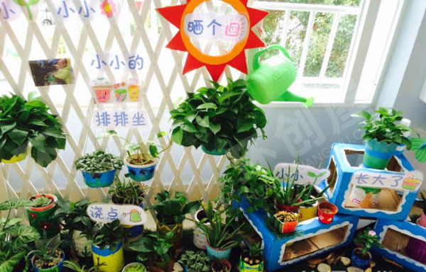 幼儿园户外环创漂亮的植物角图片