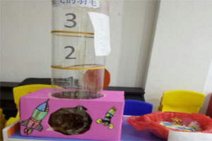 幼儿园科学区废物利用自制教玩具图片4张