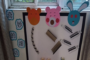 幼儿园科学区墙面各种科学秘密图片4张