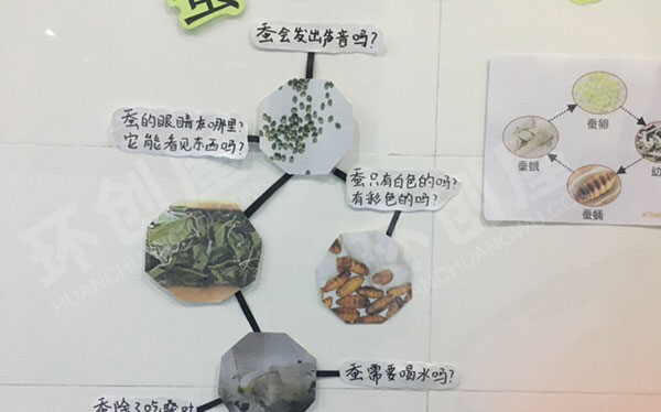 幼儿园科学区蚕宝宝养成记墙面图片
