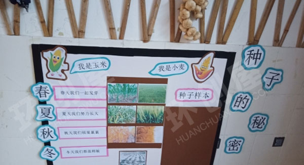 幼儿园科学区墙面各种科学秘密图片