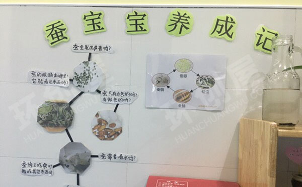 幼儿园科学区蚕宝宝养成记墙面图片
