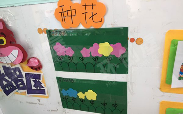 幼儿园益智区超强的操作材料图片
