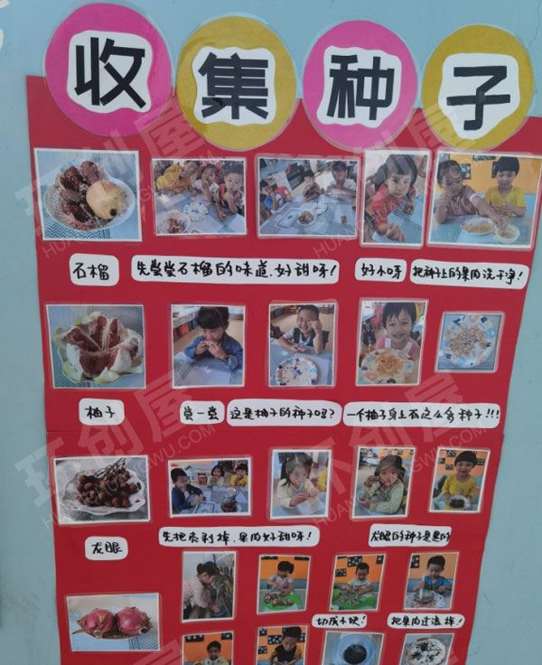 幼儿园墙面布置种子旅行记图片