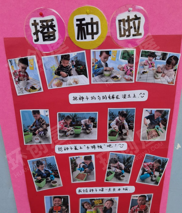 幼儿园墙面布置种子旅行记图片