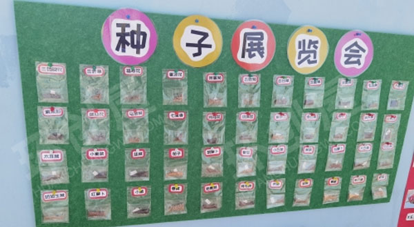 幼儿园墙面布置种子旅行记图片