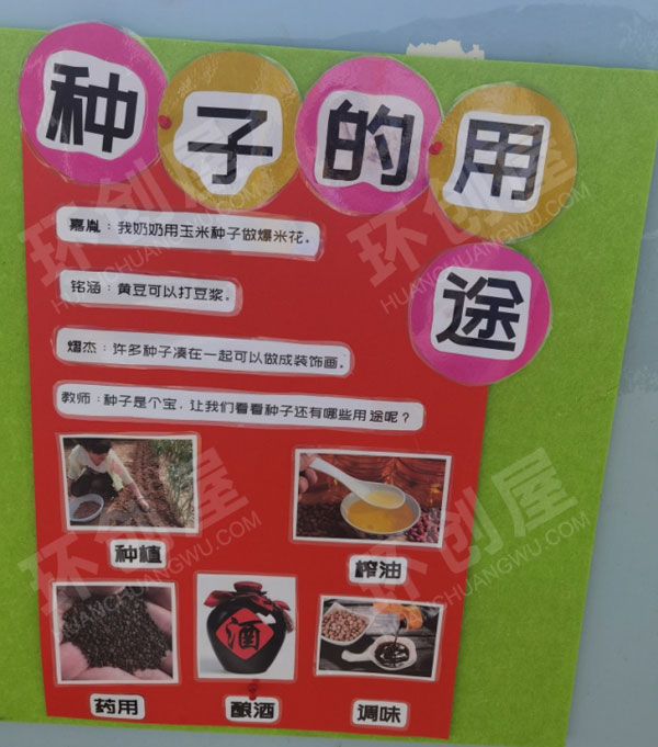 幼儿园墙面布置种子旅行记图片