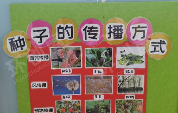幼儿园墙面布置种子旅行记图片