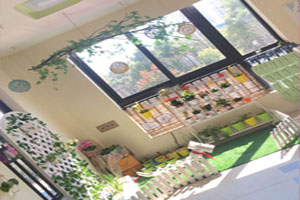 幼儿园走廊春日植物角图片