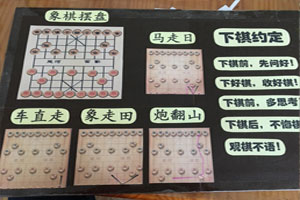幼儿园益智区棋局规则图片3张