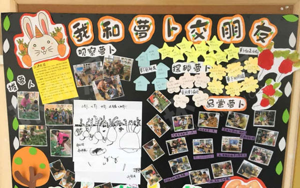 幼儿园我和萝卜交朋友主题墙图片