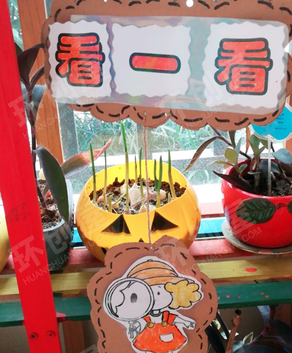 幼儿园户外自然角区牌图片