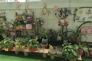 幼儿园户外环创种植一角图片2张