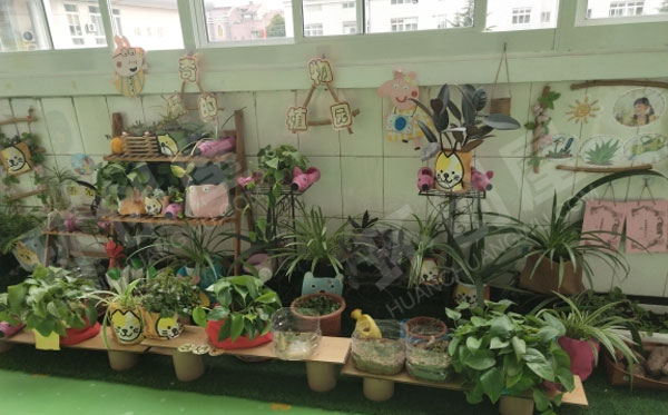 幼儿园户外环创种植一角图片
