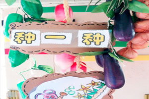 幼儿园户外自然角区牌图片4张