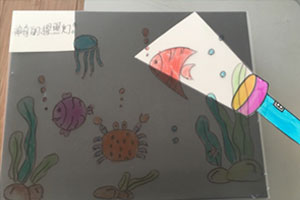 幼儿园科学探索奥秘海底世界图片