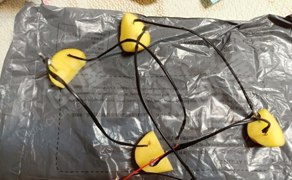 幼儿园科学区土豆发电操作图片