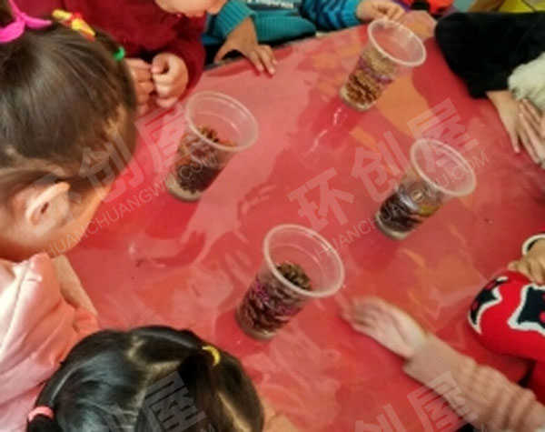 幼儿园科学实验神奇的松塔图片