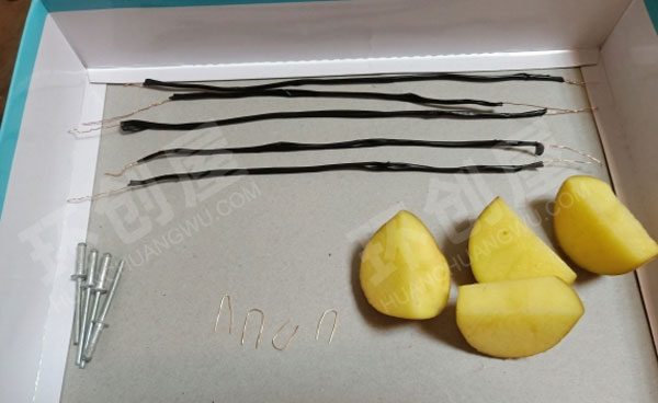 幼儿园科学区土豆发电操作图片