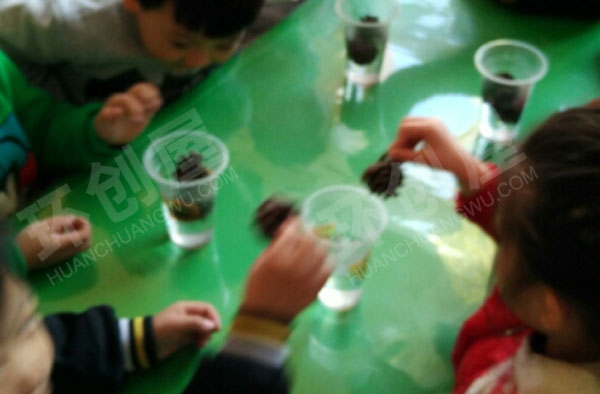 幼儿园科学实验神奇的松塔图片