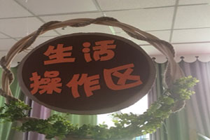 幼儿园森系田园风藤条区域牌吊饰图片3张