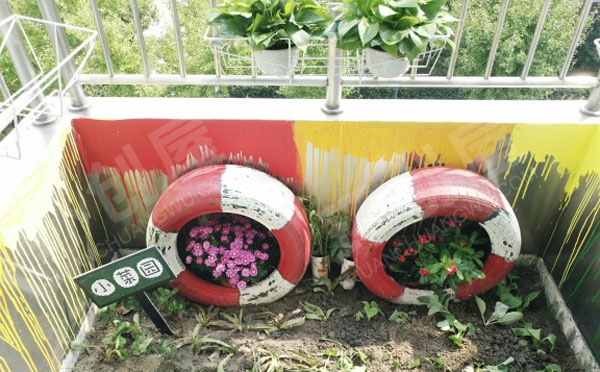 幼儿园封闭走廊合理利用下的植物角图片