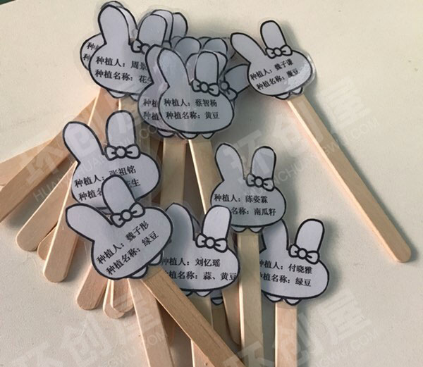 幼儿园走廊种植种子标识图片