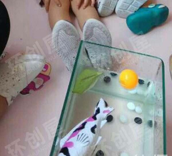 幼儿园科学物体的重量与浮力的关系图片
