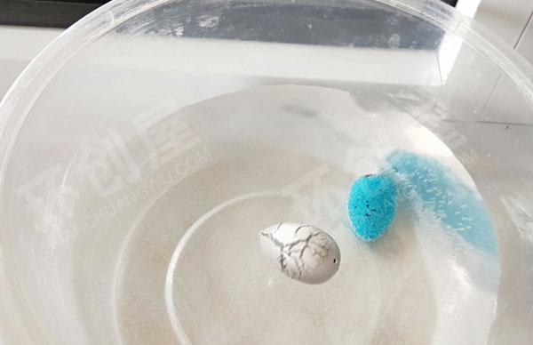幼儿园科学区好玩的恐龙蛋图片