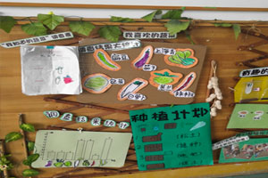 幼儿园主题墙蔬菜主题小菜园图片6张