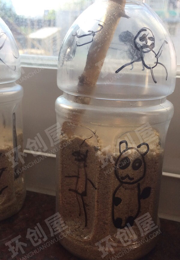 幼儿园简单又有效果的窗台作品展示图片