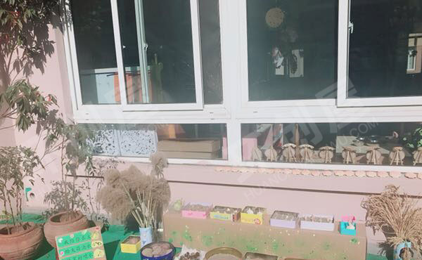 幼儿园户外植物角种植区图片