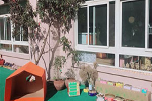 幼儿园户外植物角种植区图片2张